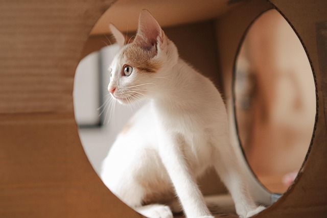 誰かがやってくれるをやめる アイキャッチ